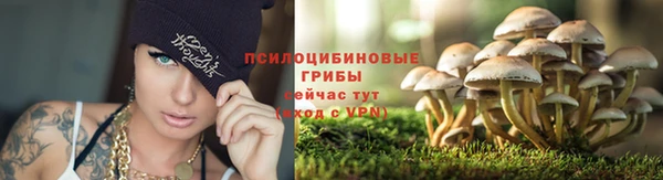 ALPHA PVP Алзамай