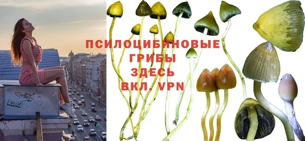 ALPHA PVP Алзамай
