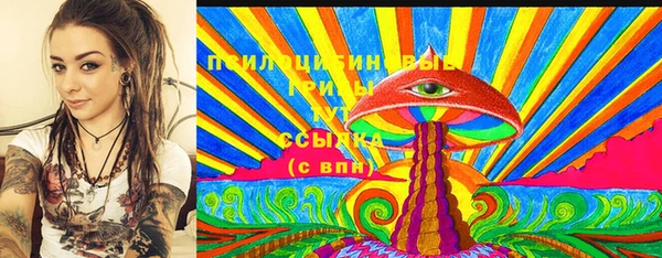 ПСИЛОЦИБИНОВЫЕ ГРИБЫ Алексин