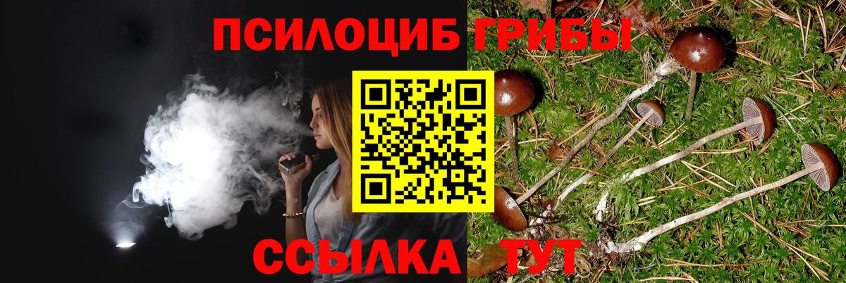 Псилоцибиновые грибы Magic Shrooms  Вход с VPN  Кимры 