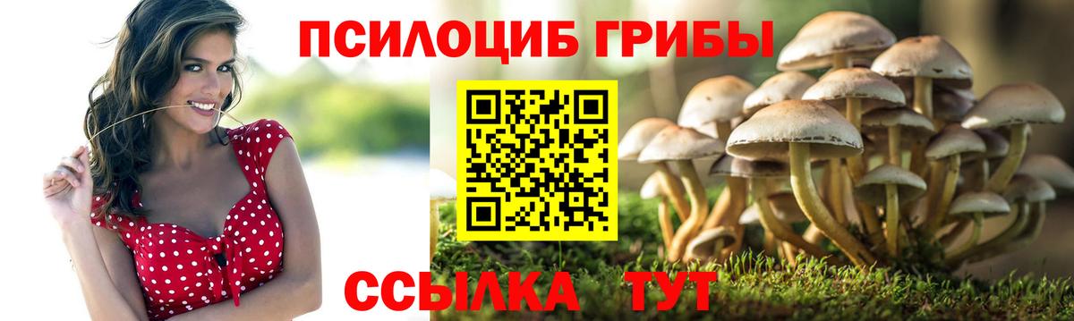 Галлюциногенные грибы Magic Shrooms Кимры